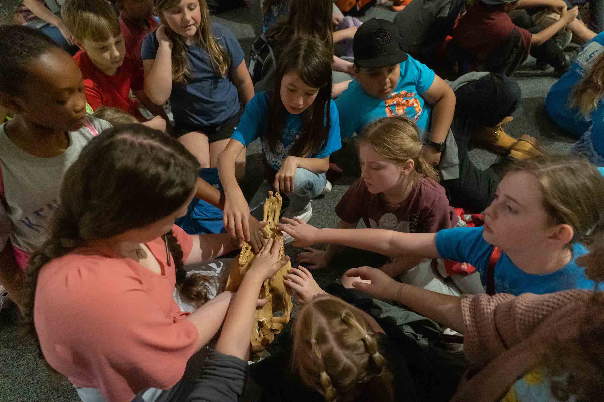 Kentucky Horse Park School Groups