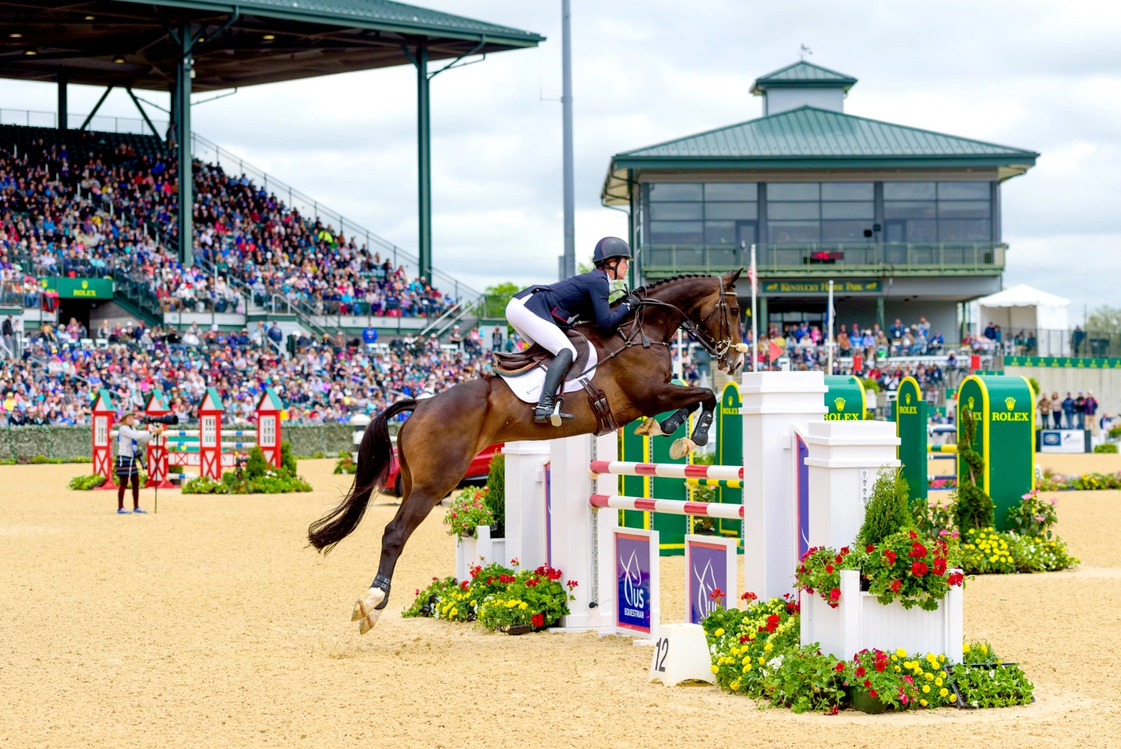 Glossary - Kentucky Horse Park