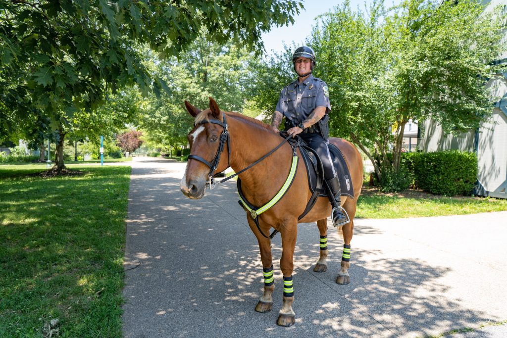 mounted police Sunny Officer Charles Baldi