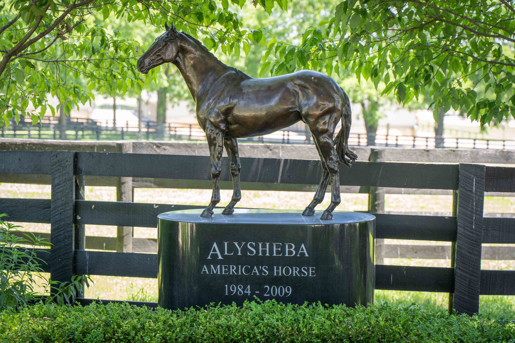 Alysheba statue