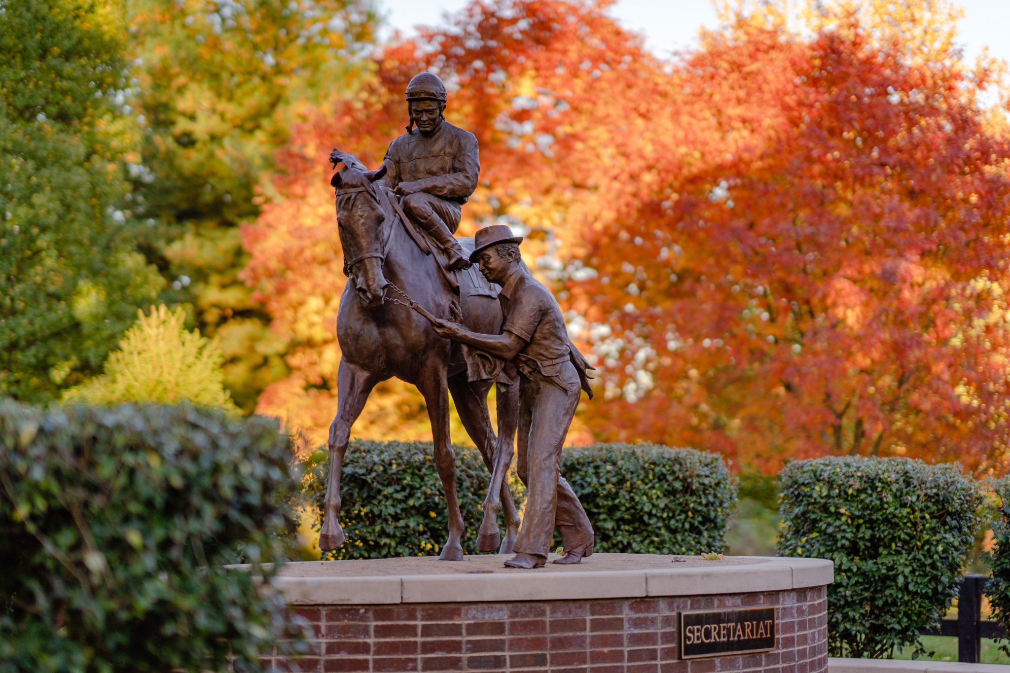 About Us - Kentucky Horse Park