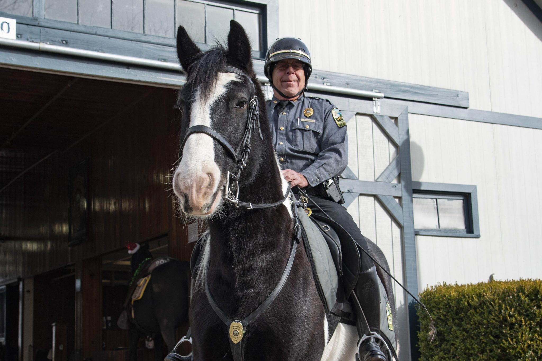 mounted police Turk Officer Foster