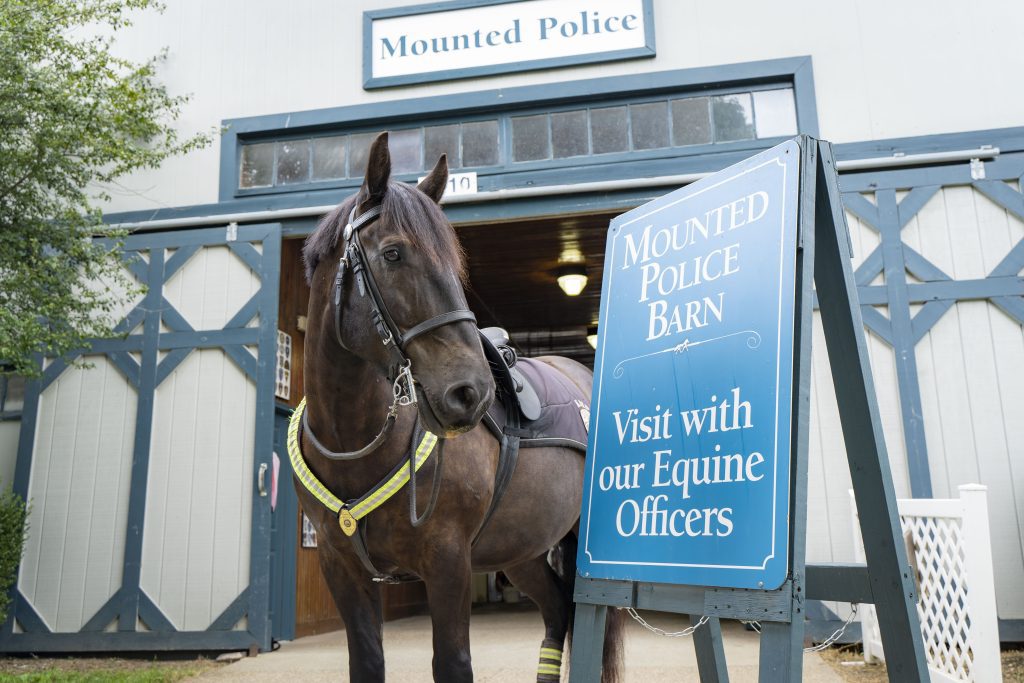 Mounted Police Parker Jessica
