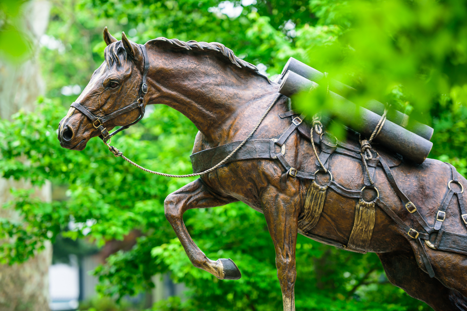 Sergeant Reckless statue