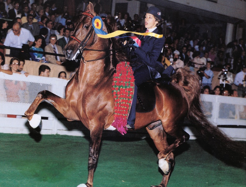 World's Grand Champion CH Sky Watch and Michele Macfarlane