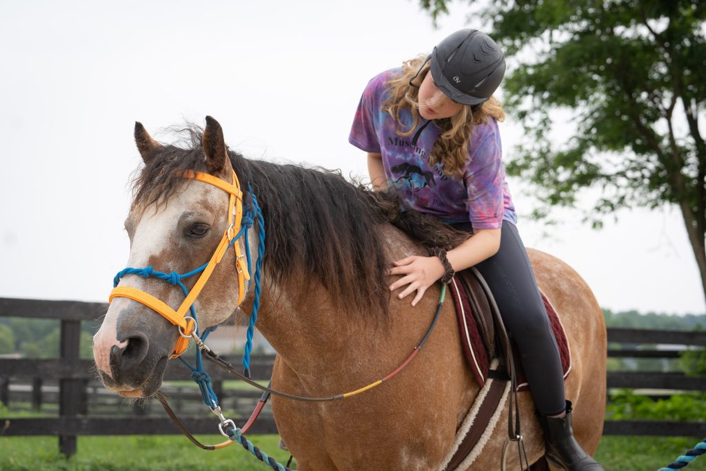 Kentucky Horse Park Mustang Troop - Kentucky Horse Park