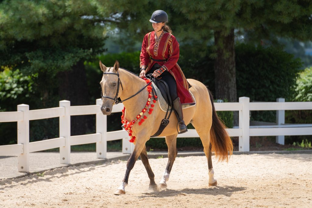 Akhal-Teke “Aslan” Akhal Spirit