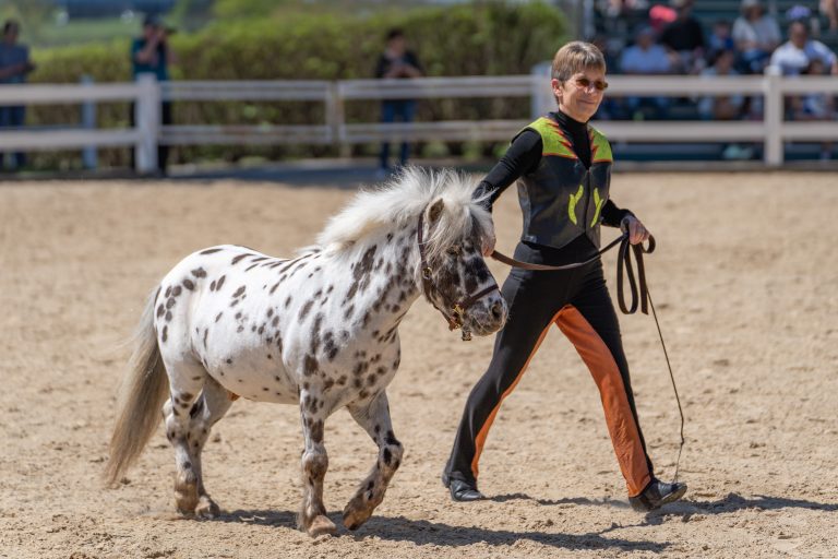 Hours & Admission Kentucky Horse Park