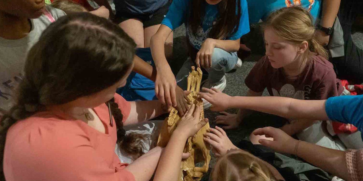 Kentucky Horse Park School Groups