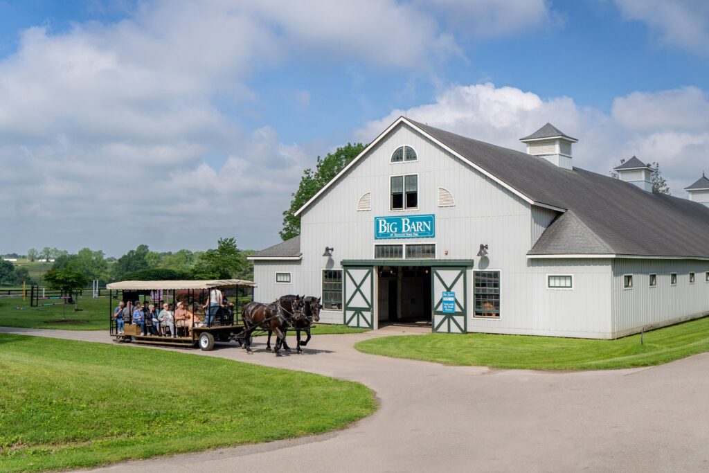 Horse Drawn Trolley at the Kentucky Horse Park