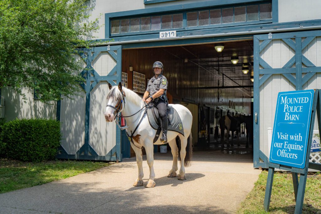 Mounted Police Horse Legend