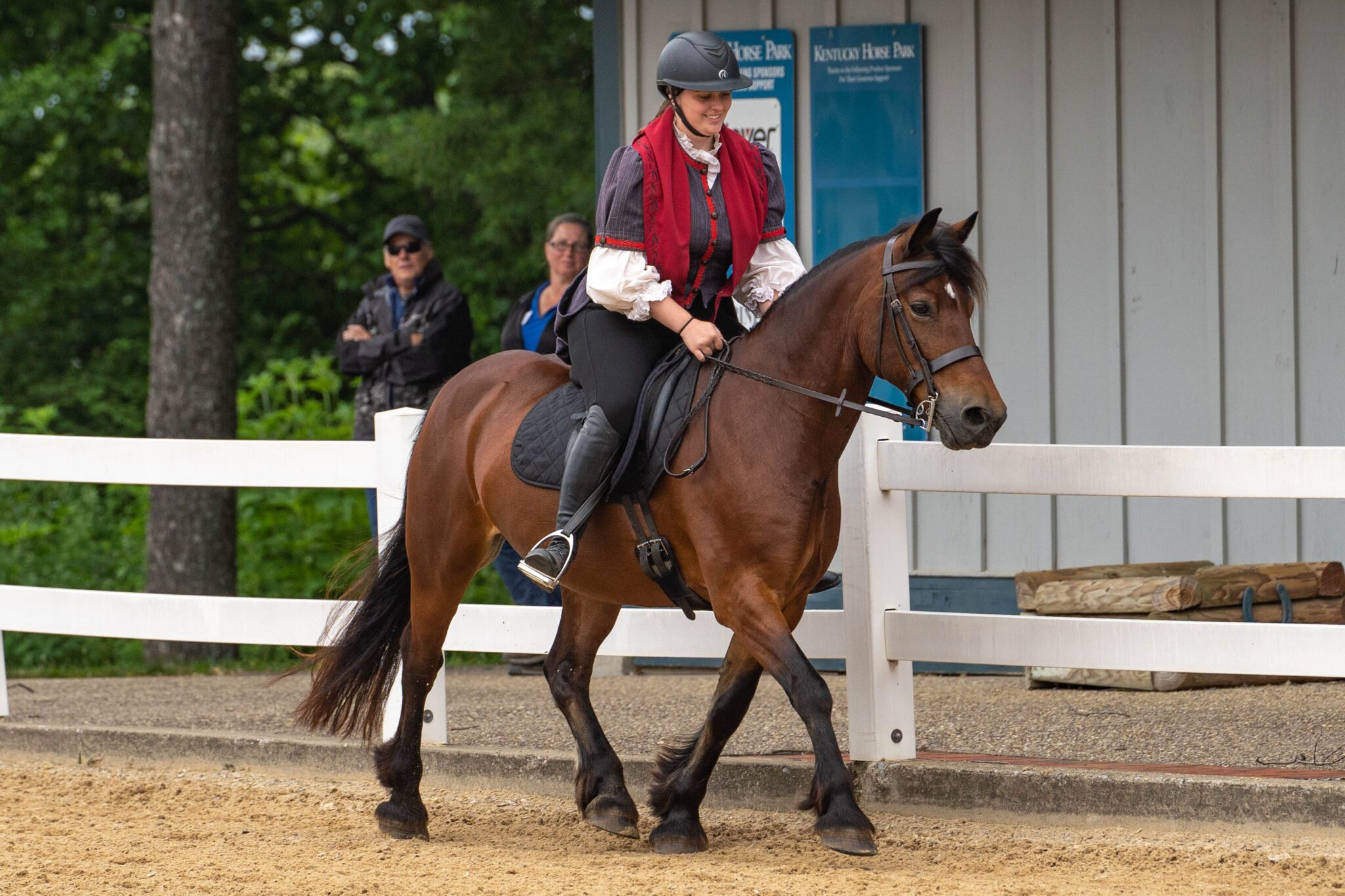 Breeds Barn- Ditto Comet