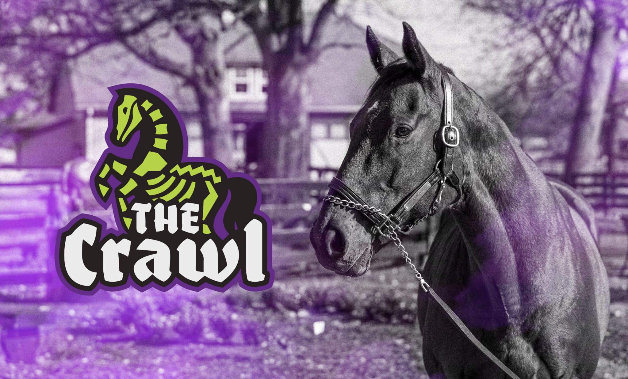 TheCrawl