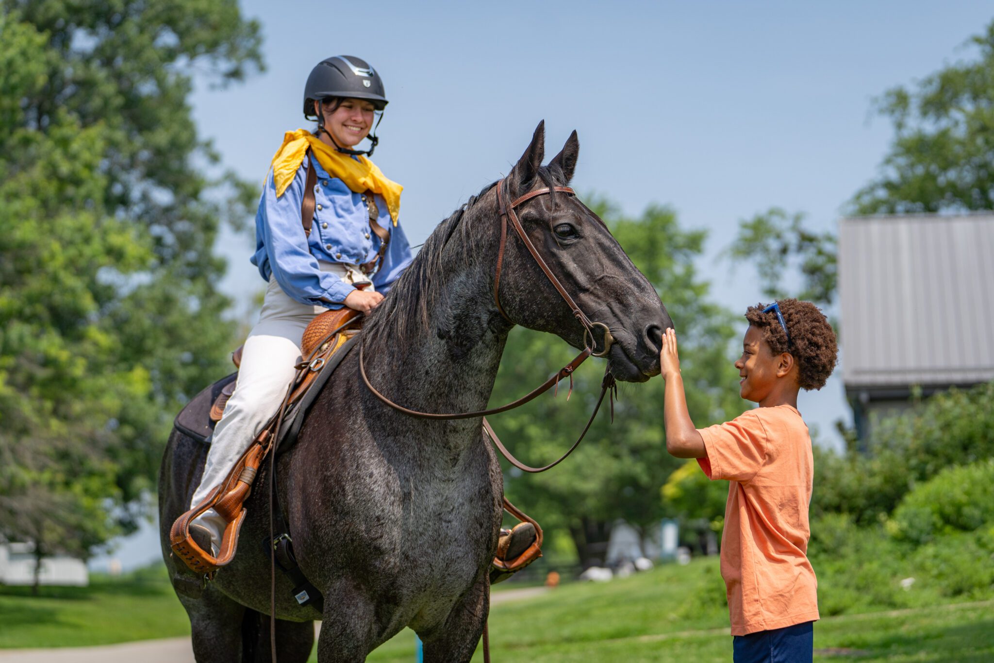 Child petting a horse on the nose